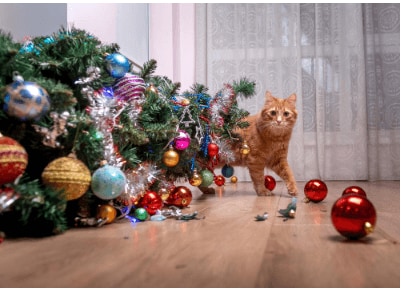 A cat beside a toppled Christmas tree.