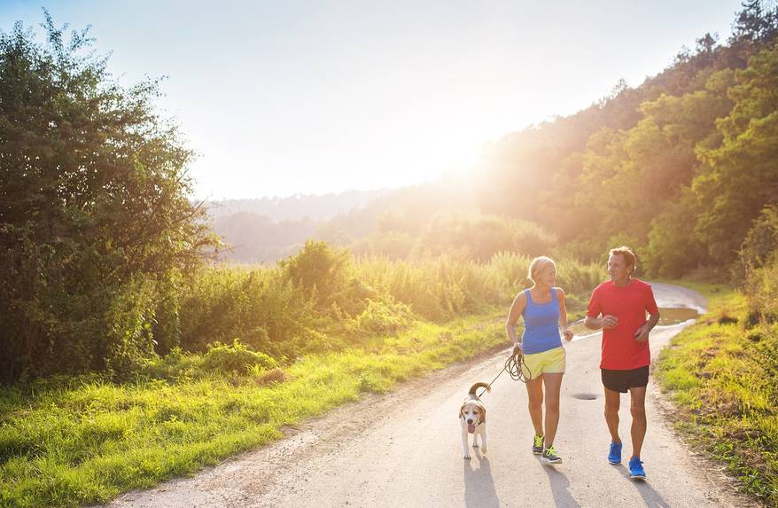 Couple in running gear run on a mountain trail with a beagle leashed beside them.