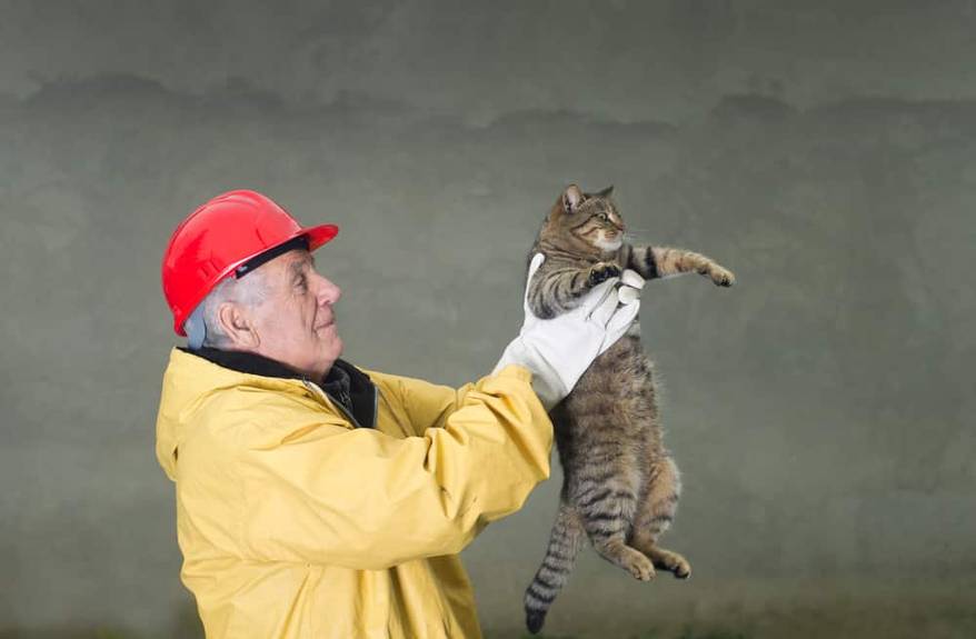 Old man in safety suit holds cat with his arms