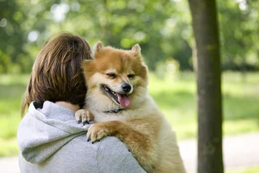 A young woman outdoors, holds her dog over her shoulder while it pants