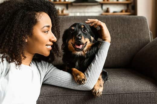Woman sitting on the ground pets a dog's head sitting on the couch.