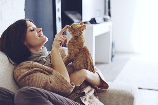 Woman sitting on chair holding a ginger tabby cat and gently touching its nose