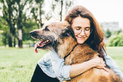 Women hugging dog in the summer park. Cheerful lady with long dark hair in blue jacket hugs and strokes friendly old dog sitting on lush green meadow of public garden on nice day. 