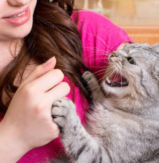 Cat hissing at woman holding her
