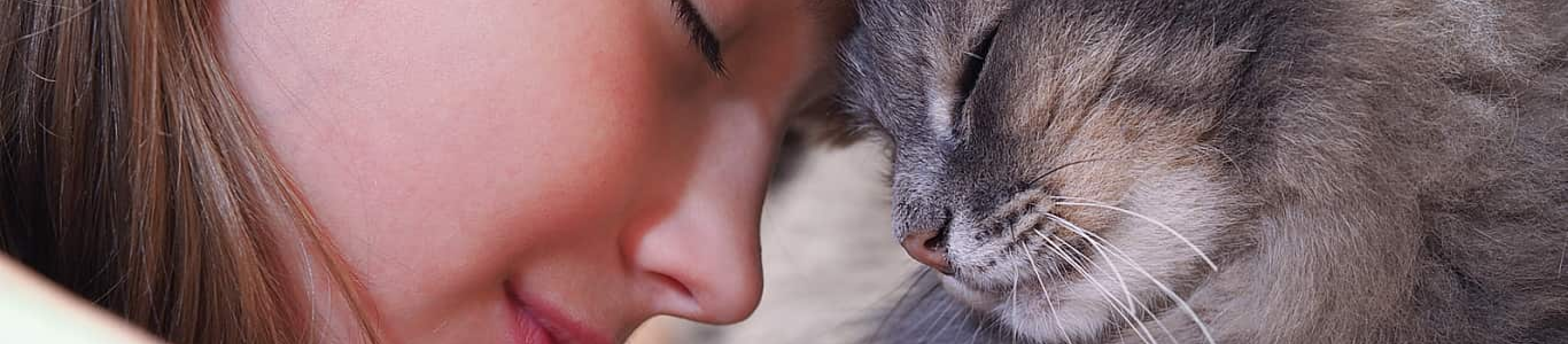cat with head pressed against girls head