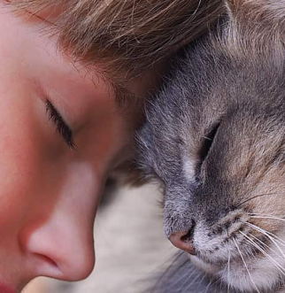 cat with head pressed against girls head