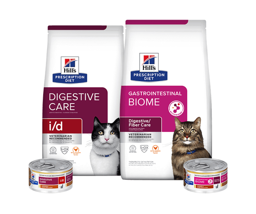 Prescription Diet Digestive care cat food
