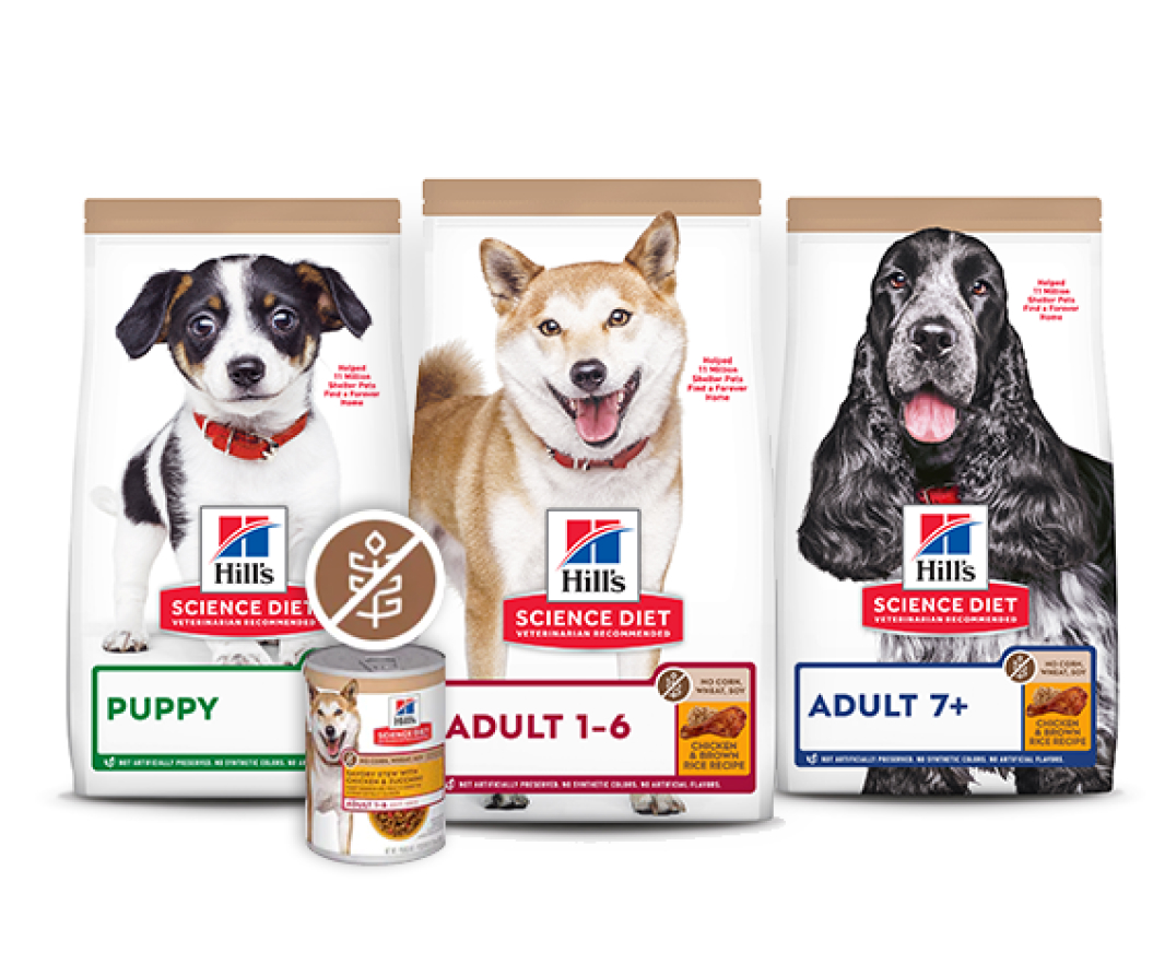 No corn, wheat or soy dog foods