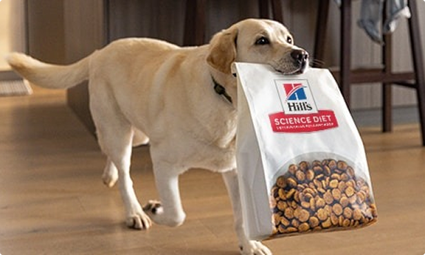 A dog carrying a hill's pet food bag